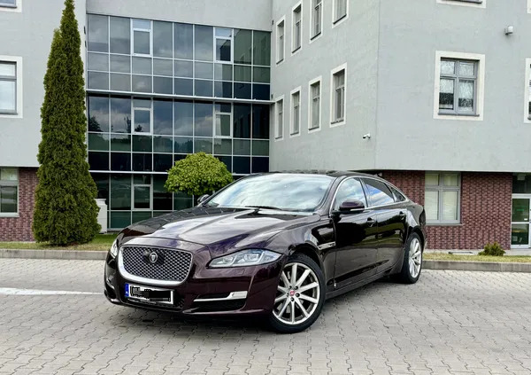 jaguar dolnośląskie Jaguar XJ cena 109000 przebieg: 205000, rok produkcji 2016 z Wałbrzych